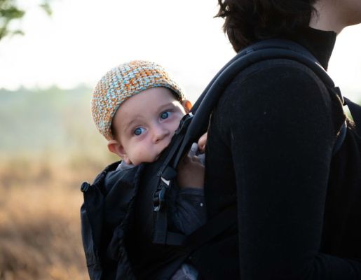 Foto - Festival de Aves 2025