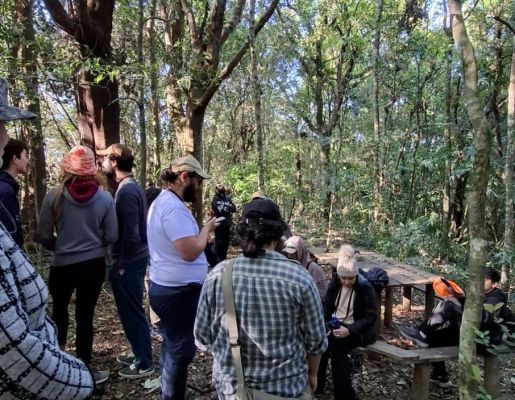 Foto - Festival de Aves 2025