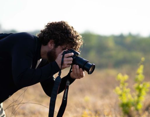 Foto - Festival de Aves 2025