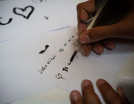 Foto - Festival de Aves 2025