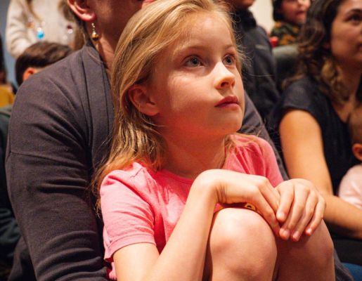 Foto - Festival de Aves 2025