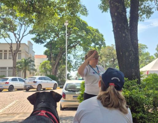 Foto - Passeio Guiado Centro Histórico 07/12/2025