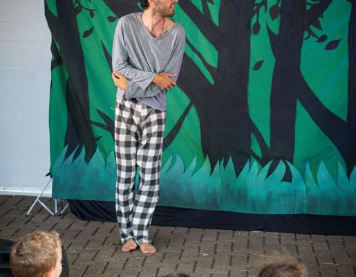 Foto - Festival de Aves 2025