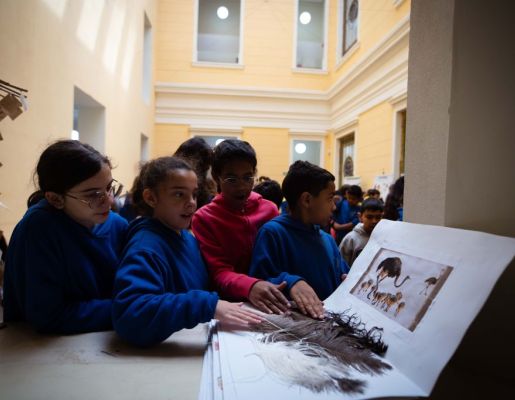 Foto - Festival de Aves 2025