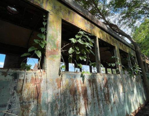 Foto - Passeio Guiado Marcos da Ferrovia 30/11/2025