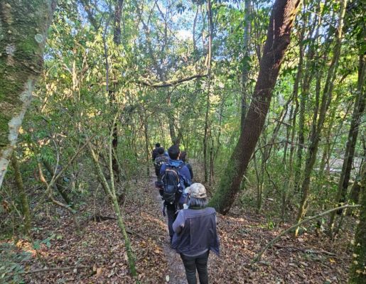 Foto - Festival de Aves 2025