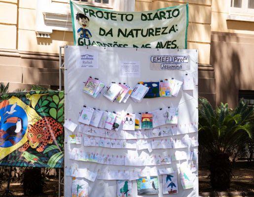 Foto - Festival de Aves 2025