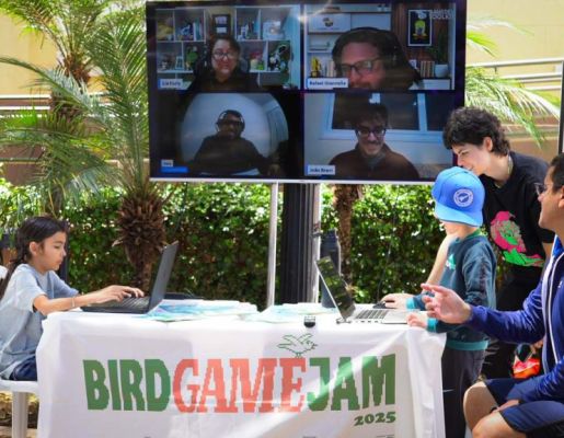 Foto - Festival de Aves 2025