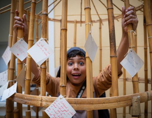 Foto - Festival de Aves 2025