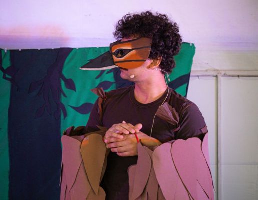 Foto - Festival de Aves 2025