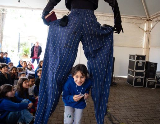 Foto - Festival de Aves 2025