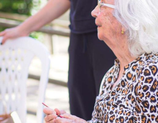 Foto - Festival de Aves 2025