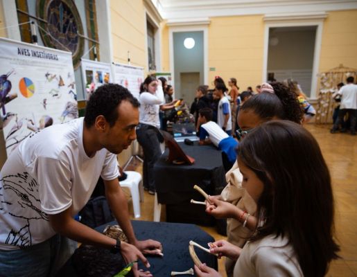 Foto - Festival de Aves 2025