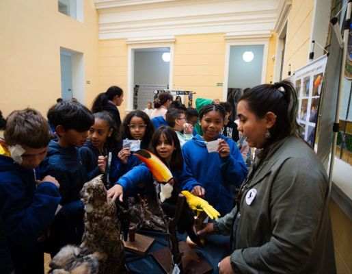 Foto - Festival de Aves 2025
