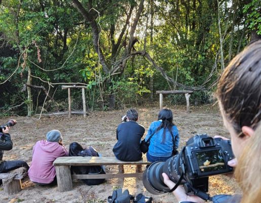 Foto - Festival de Aves 2025