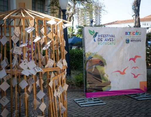 Foto - Festival de Aves 2025