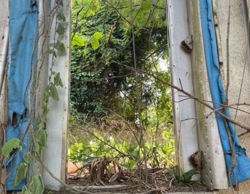 Foto - Passeio Guiado Marcos da Ferrovia 30/11/2025