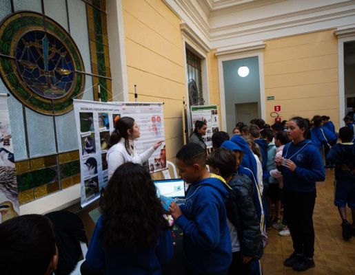 Foto - Festival de Aves 2025