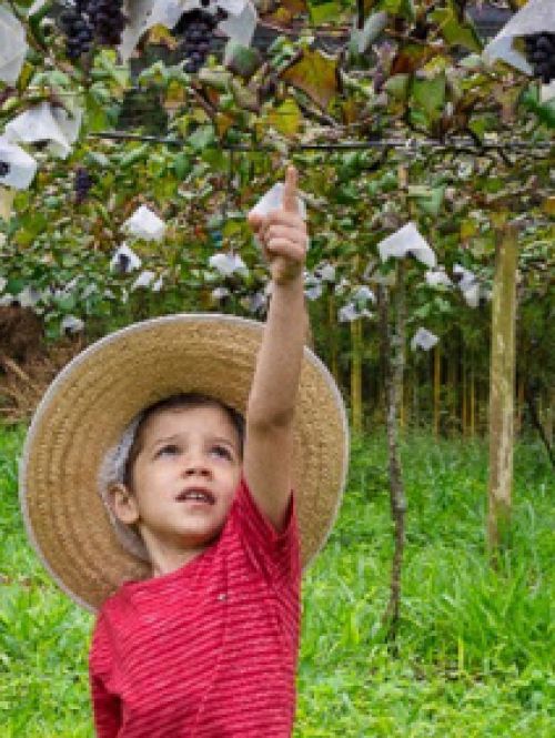 Recanto das Cerejeiras