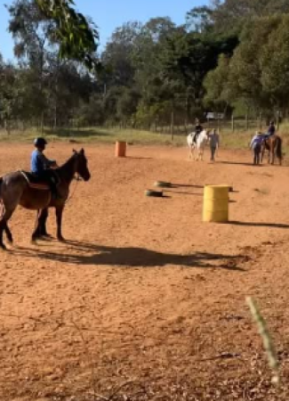 Centro de Equoterapia de Botucatu