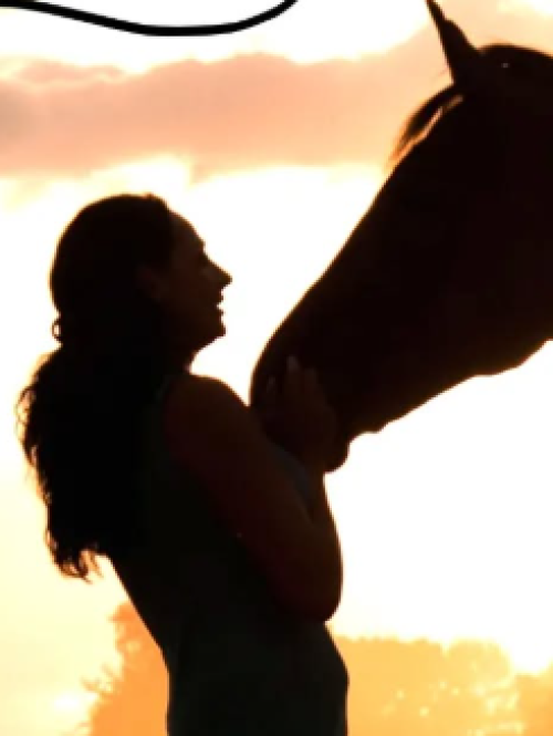 Haras Recanto da Saúde