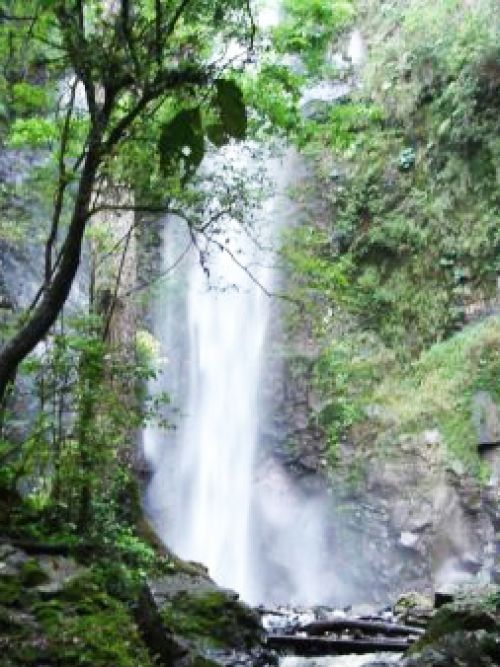 Parque Natural Municipal da Cachoeira da Marta